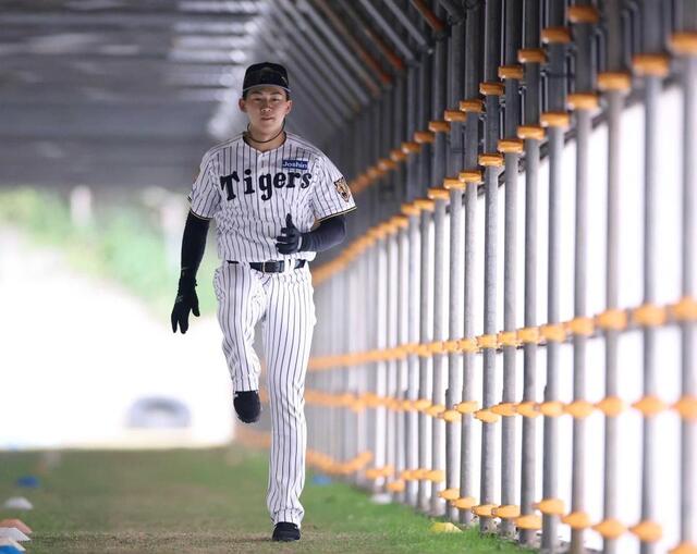 阪神ドラ１立石　見て学べ！宜野座帯同