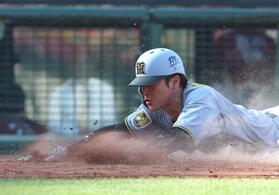 ８回、近本の同点犠飛で生還した高寺（撮影・北村雅宏）