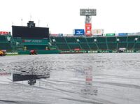 雨天中止が決まった甲子園（撮影・立川洋一郎）