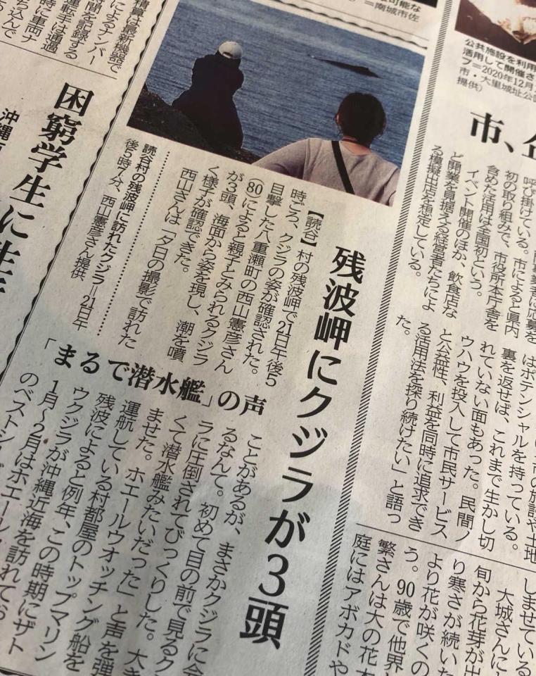 　２５日の沖縄タイムスにザトウクジラの記事が…