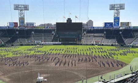 　甲子園の「小連体」で組み体操を披露する西宮の子どもたち