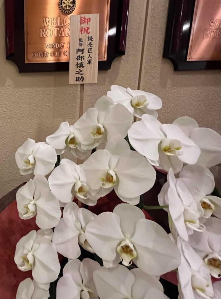 　巨人阿部監督から芦屋市内のホテルに届いた胡蝶蘭