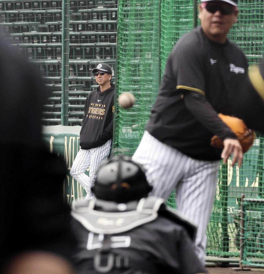 　遠くから練習を見つめる藤川監督（左奥）＝撮影・田中太一