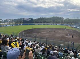 　春野で西純矢が代打で登場すると、スタンドからは大歓声が…（撮影は筆者）