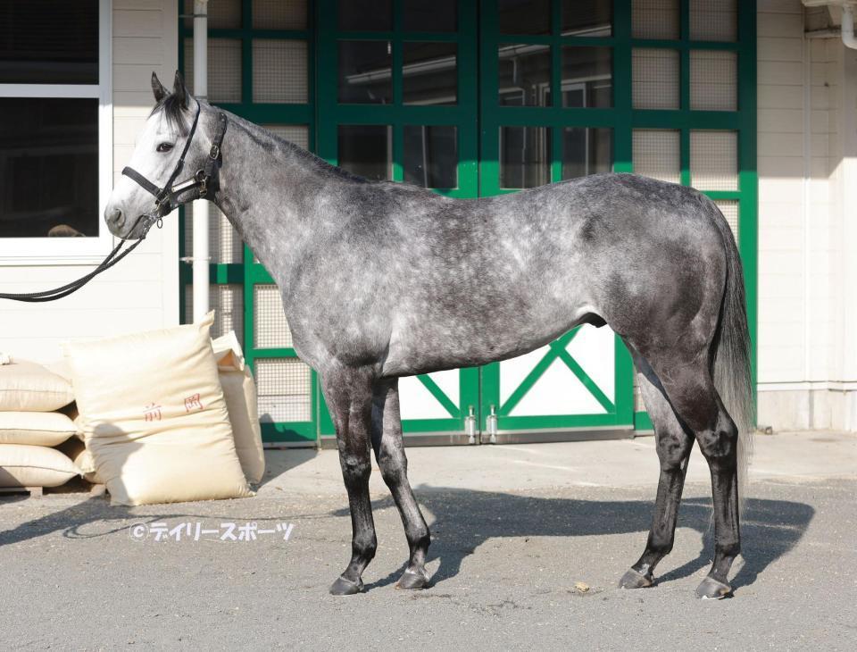 ケイアイターコイズ　評価Ｃ