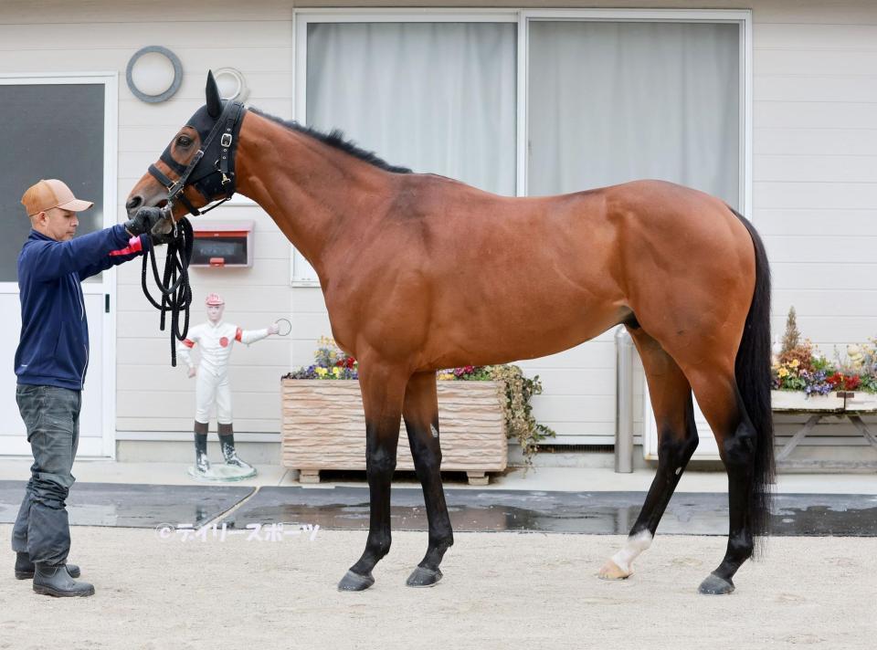 レッドルゼル　評価Ｂ