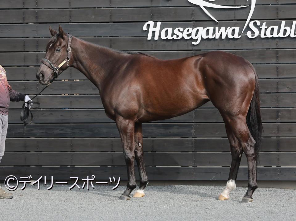 ナムラクレア　評価Ａ