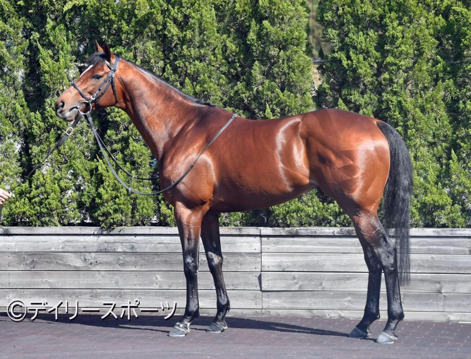 グレナディアガーズ　評価Ｂ