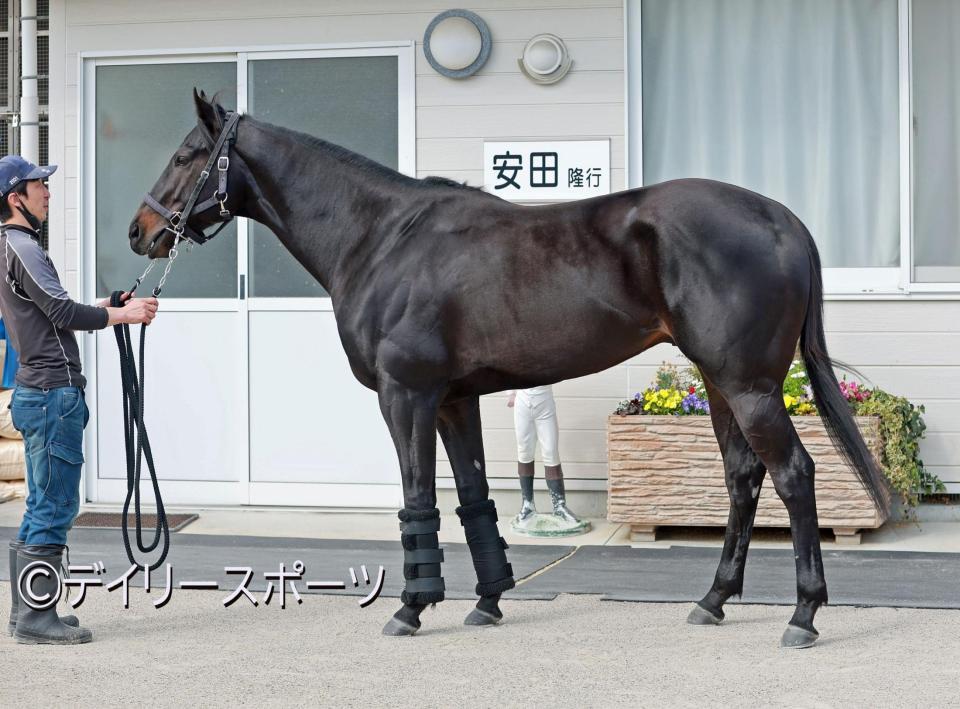 アグリ　評価Ａ