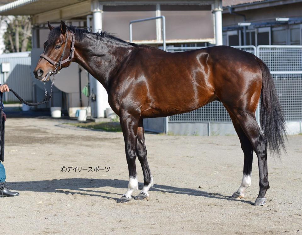 ノースブリッジ　評価Ｂ