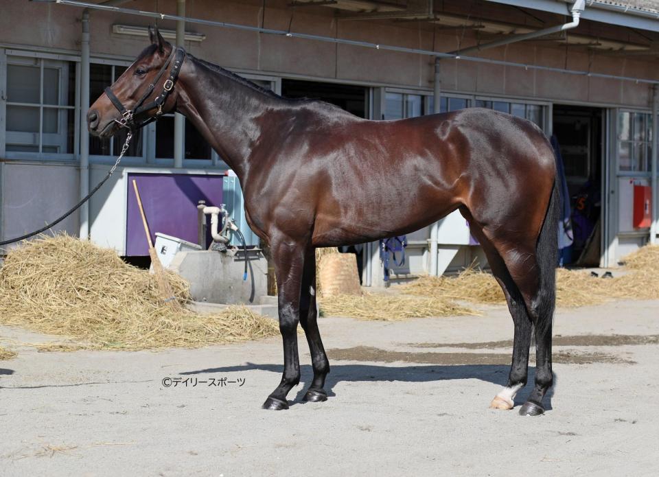 スターズオンアース　評価Ａ