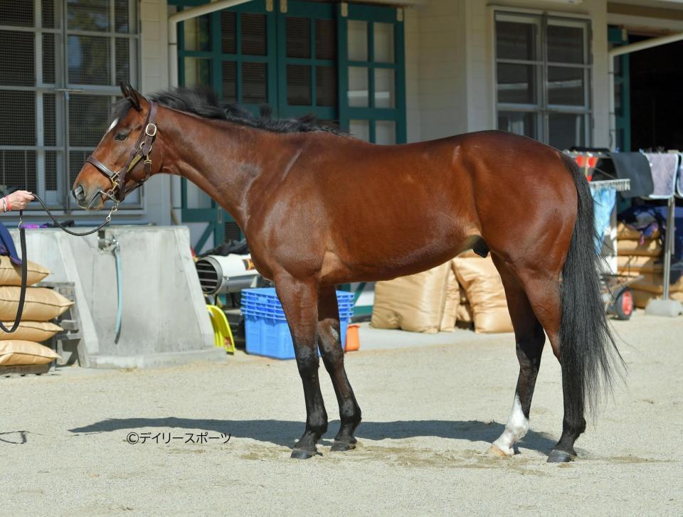 ヒンドゥタイムズ　評価Ｂ