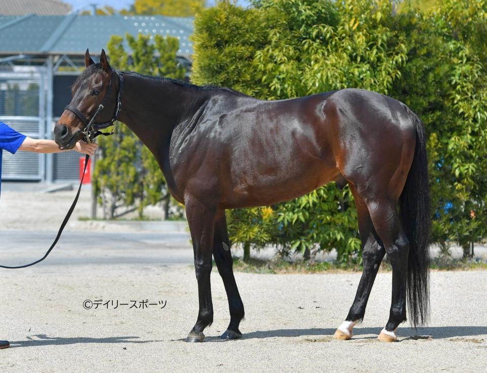 ポタジェ　評価Ｂ