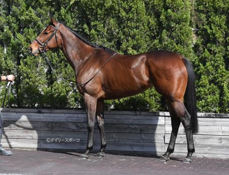 リバティアイランド　評価Ａ