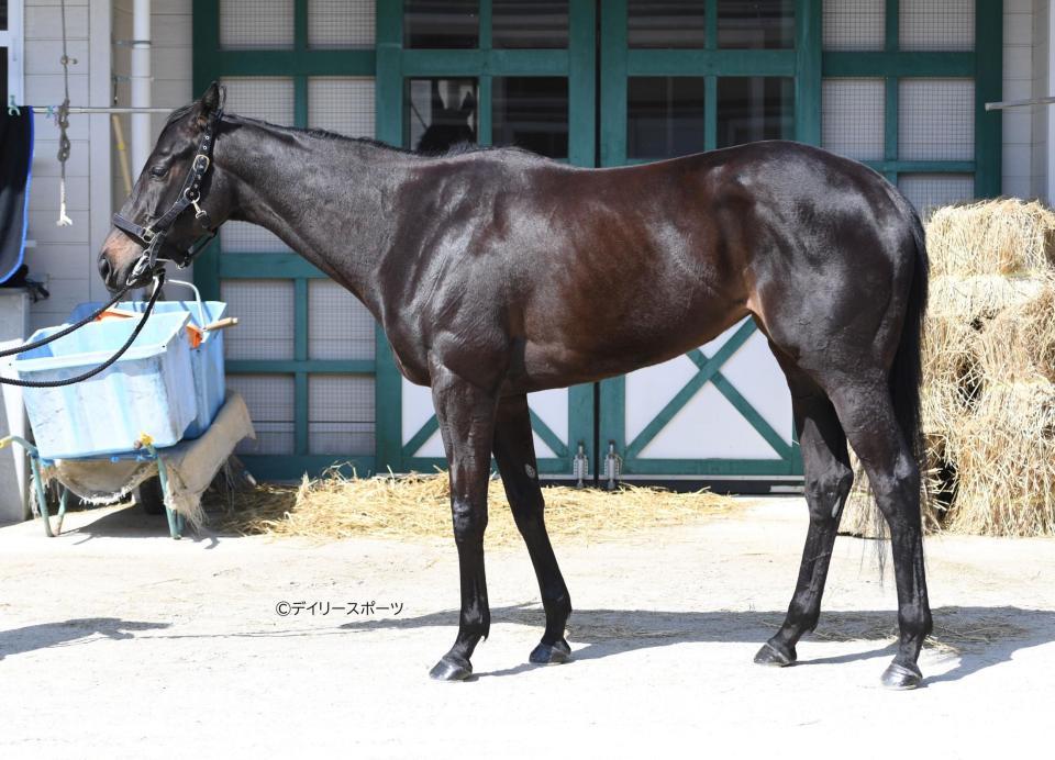 コナコースト　評価Ｃ