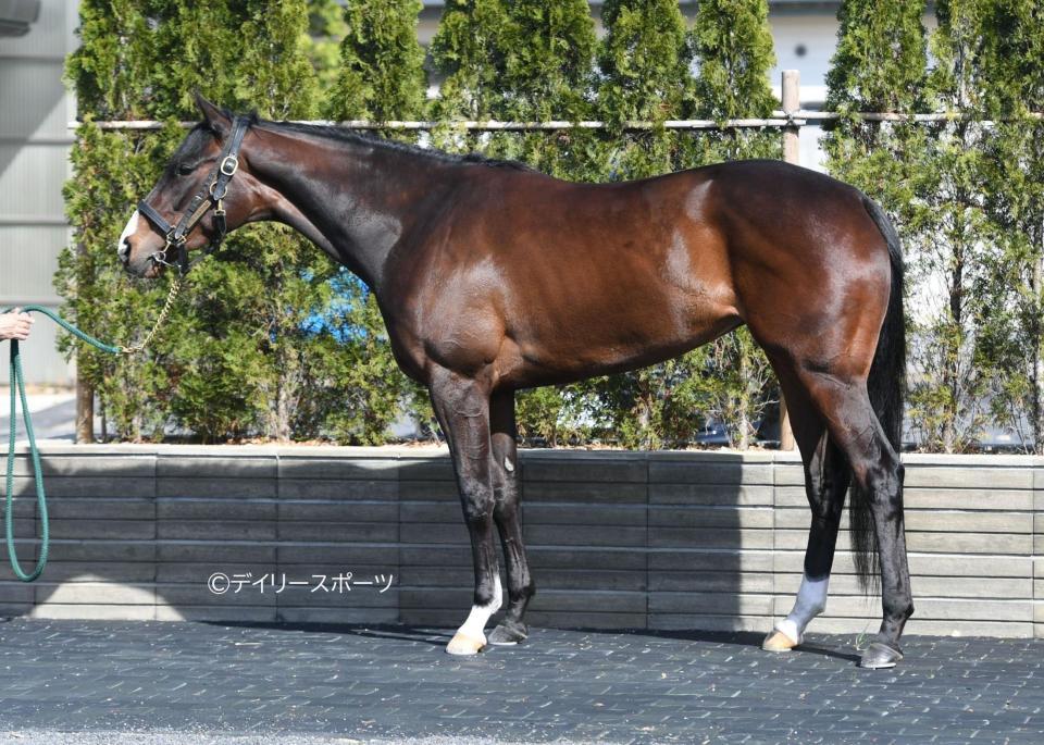 ムーンプローブ　評価Ｂ