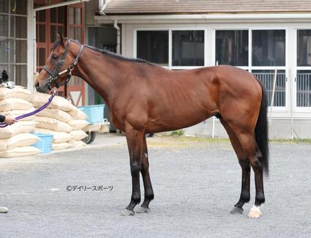 ファントムシーフ　評価Ｂ