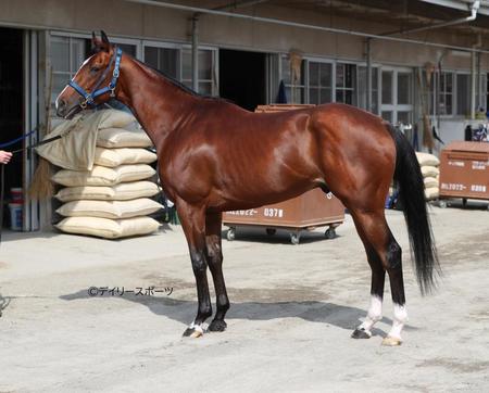 ソールオリエンス　評価Ｂ