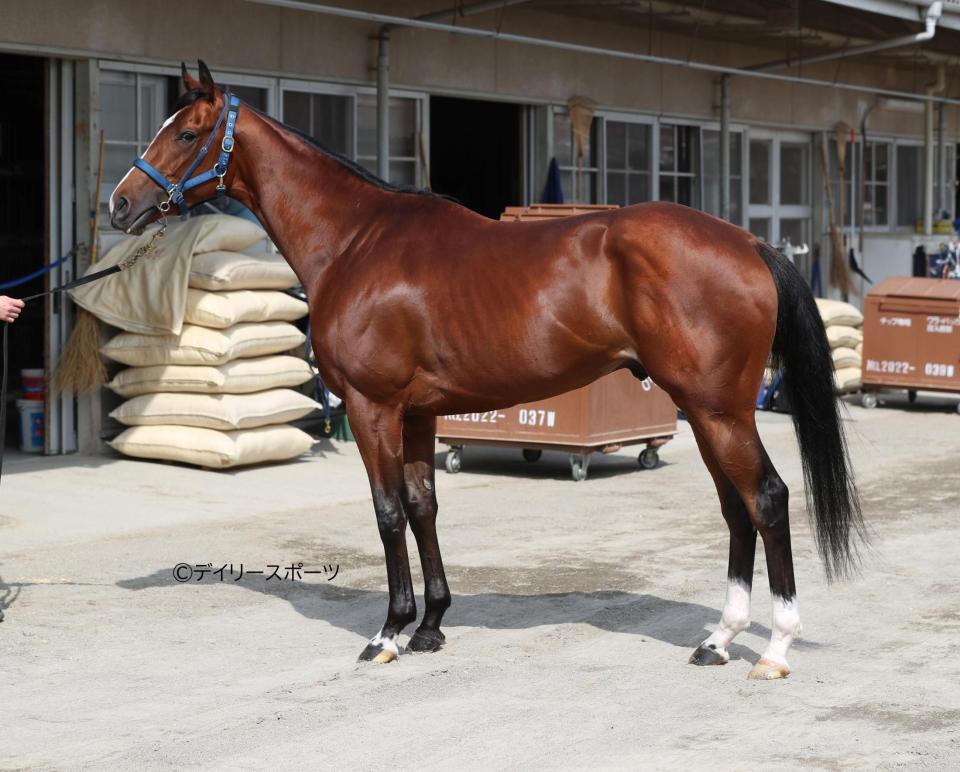 ソールオリエンス　評価Ｂ