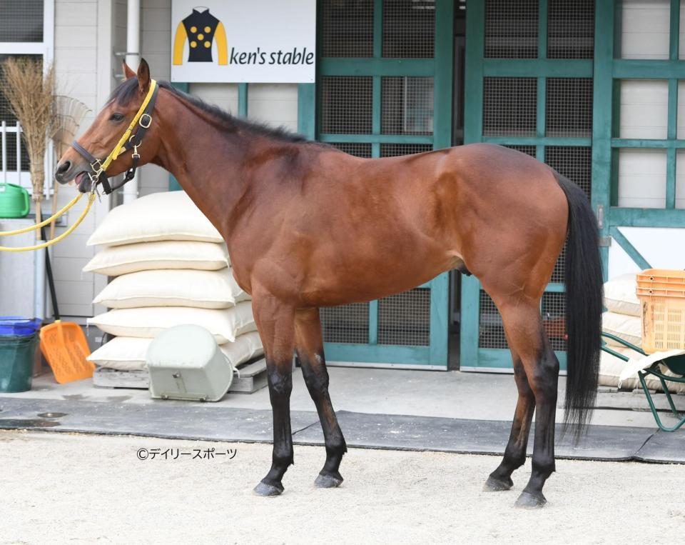 ワンダイレクト　評価Ｃ