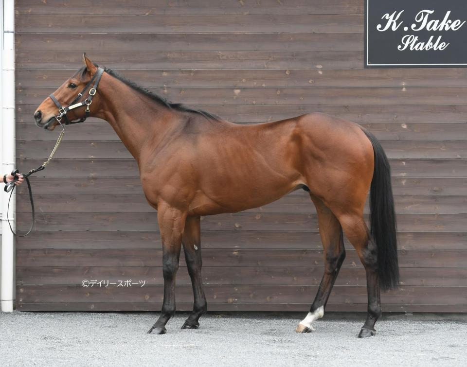 タッチウッド　評価Ｂ