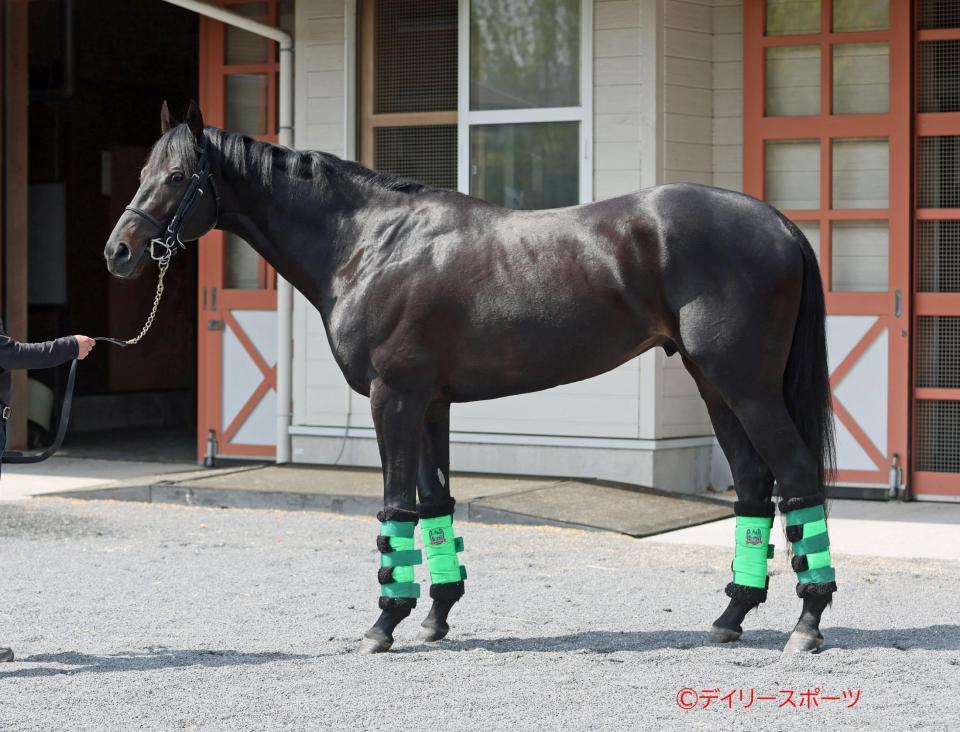 ジャスティンパレス　評価Ｂ