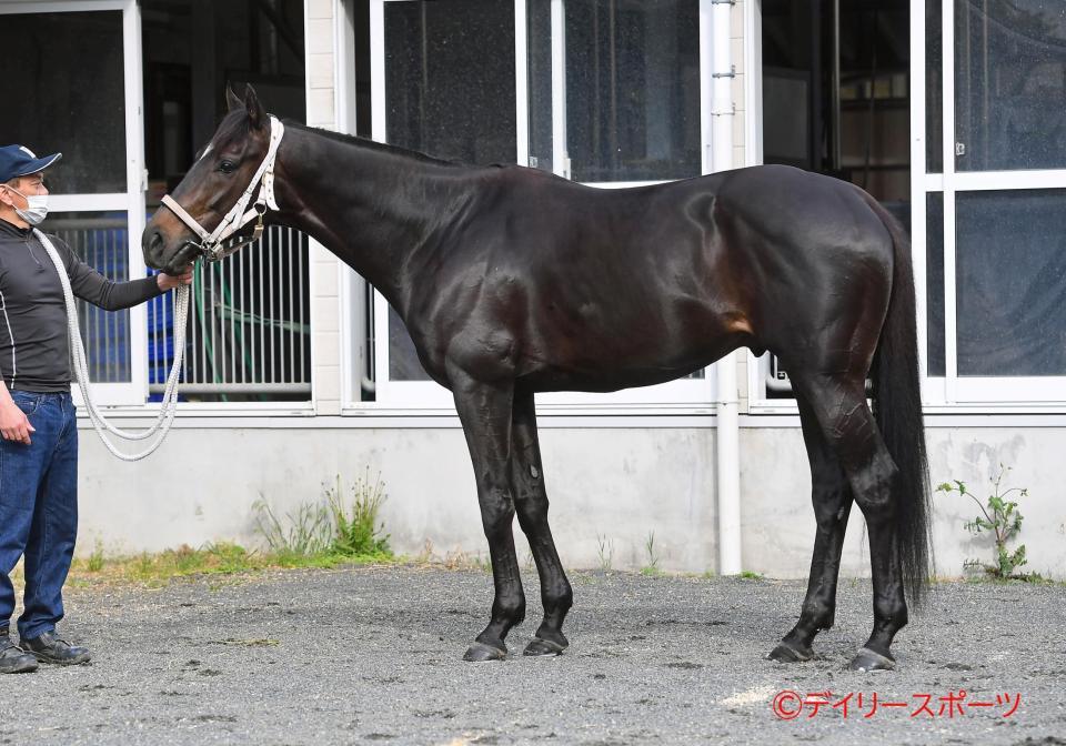 ディープボンド　評価Ｂ