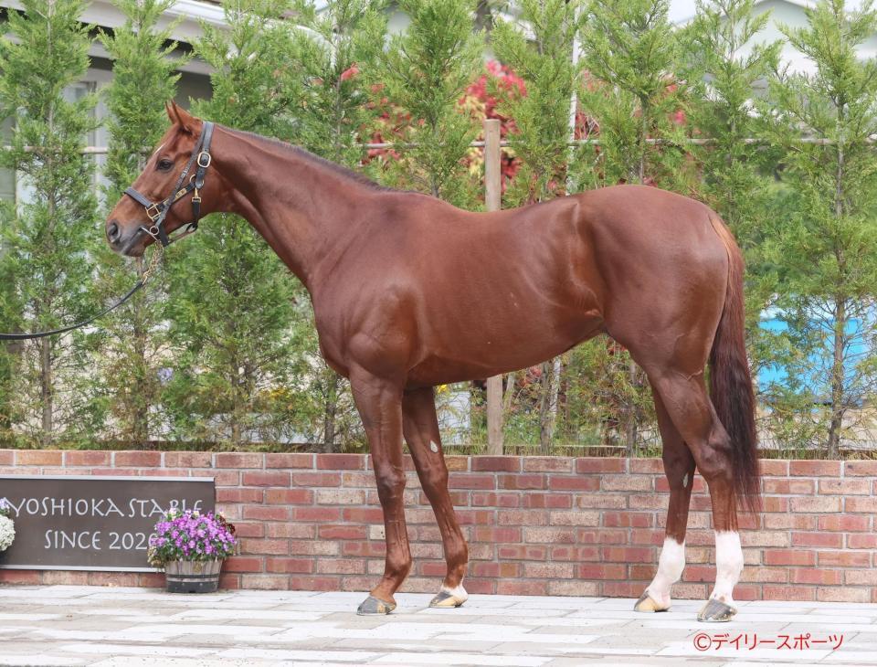 ブレークアップ　評価Ｂ