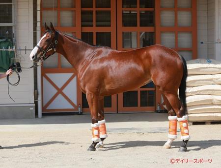 ナミュール　評価Ｂ