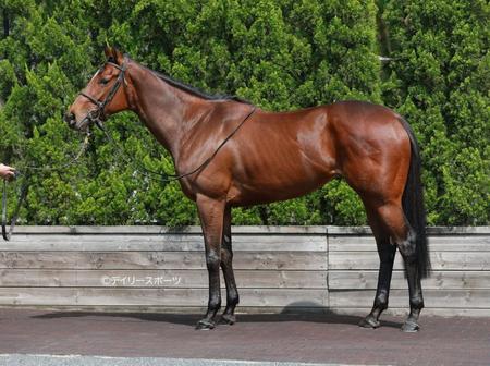 リバティアイランド　評価Ｓ