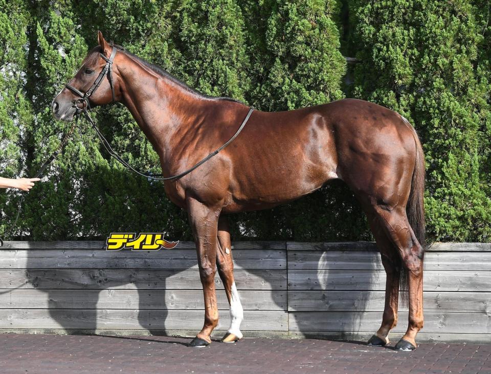 セリフォス　評価Ａ