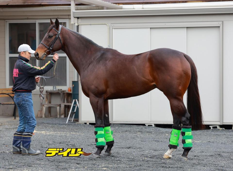 エンペラーワケア　評価Ｂ