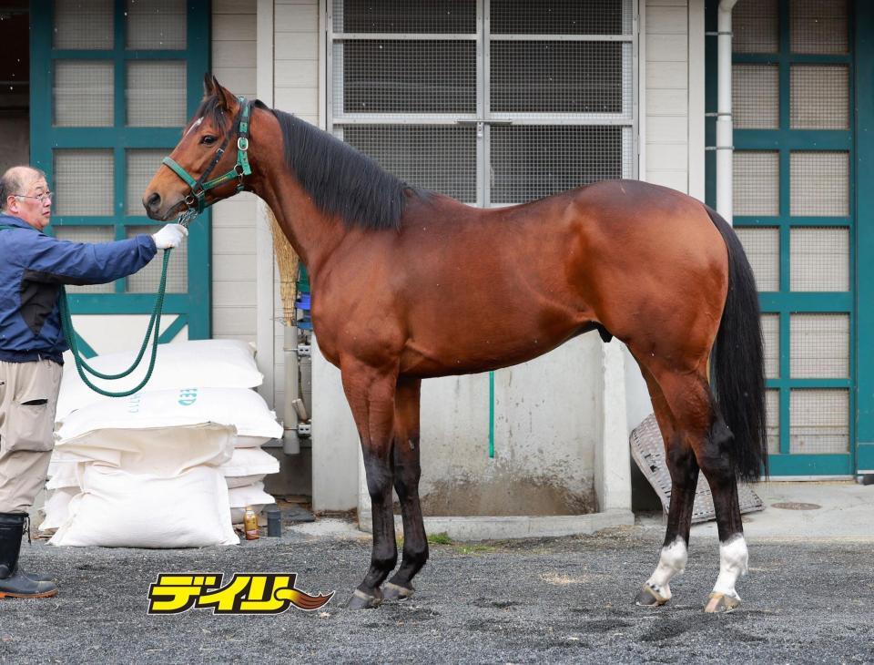 サンデーファンデー　評価Ｂ