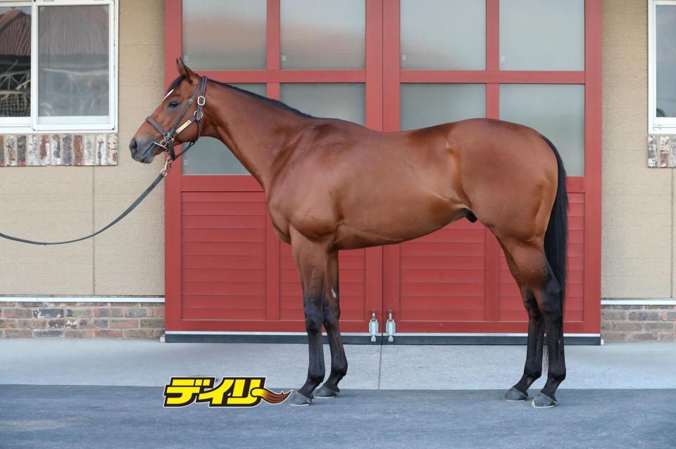 コスタノヴァ　評価Ａ