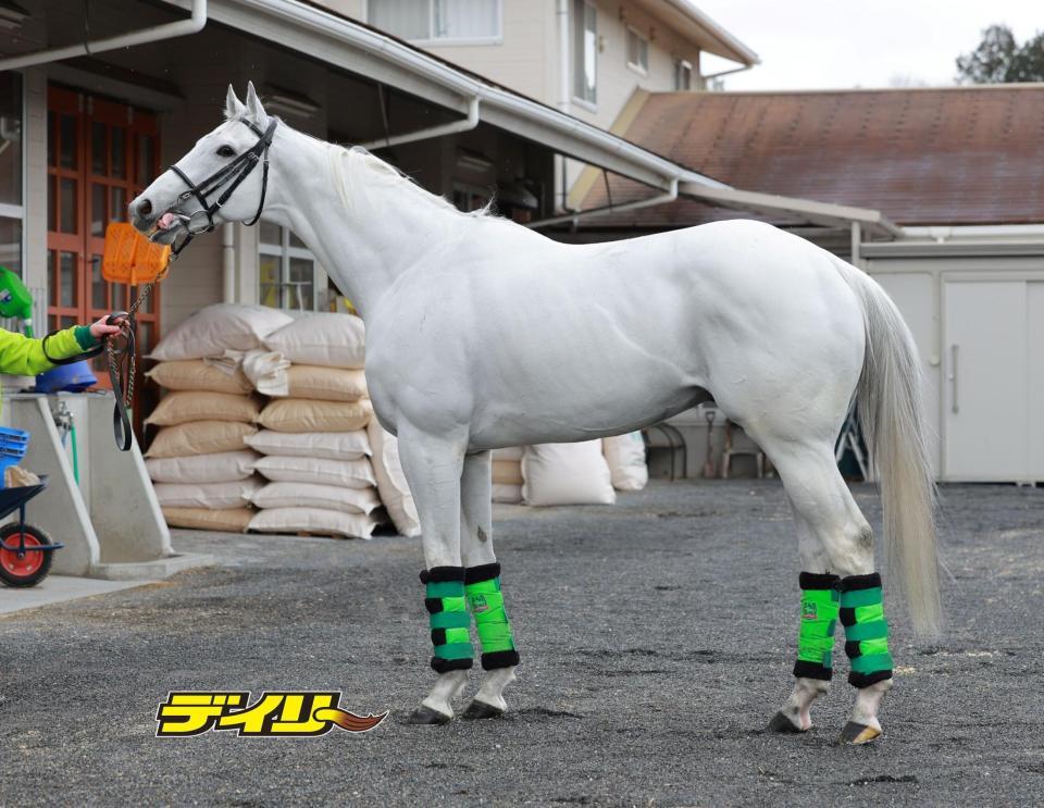 ガイアフォース　評価Ｂ