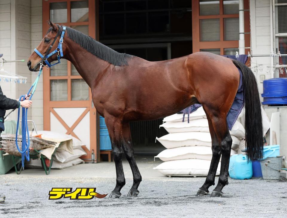 タガノビューティー　評価Ｂ