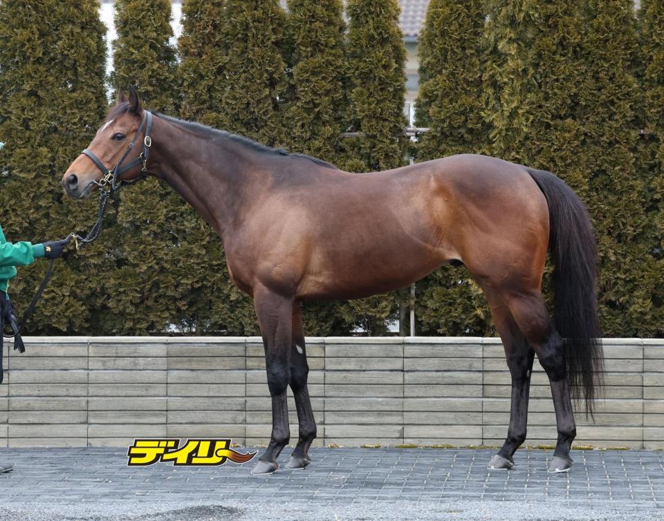 ウィリアムバローズ　評価Ｂ