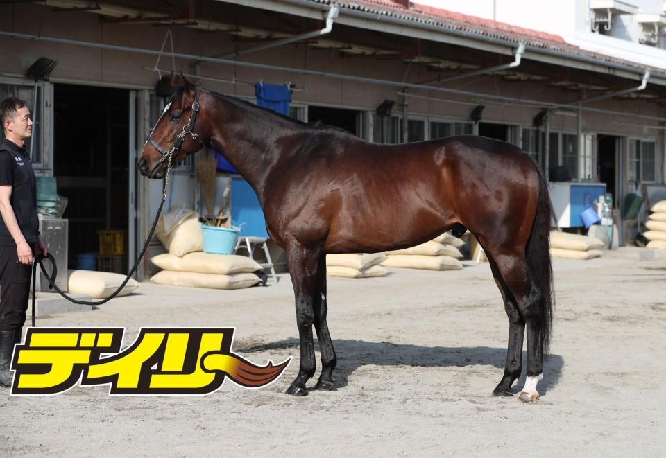 シックスペンス　評価Ｂ