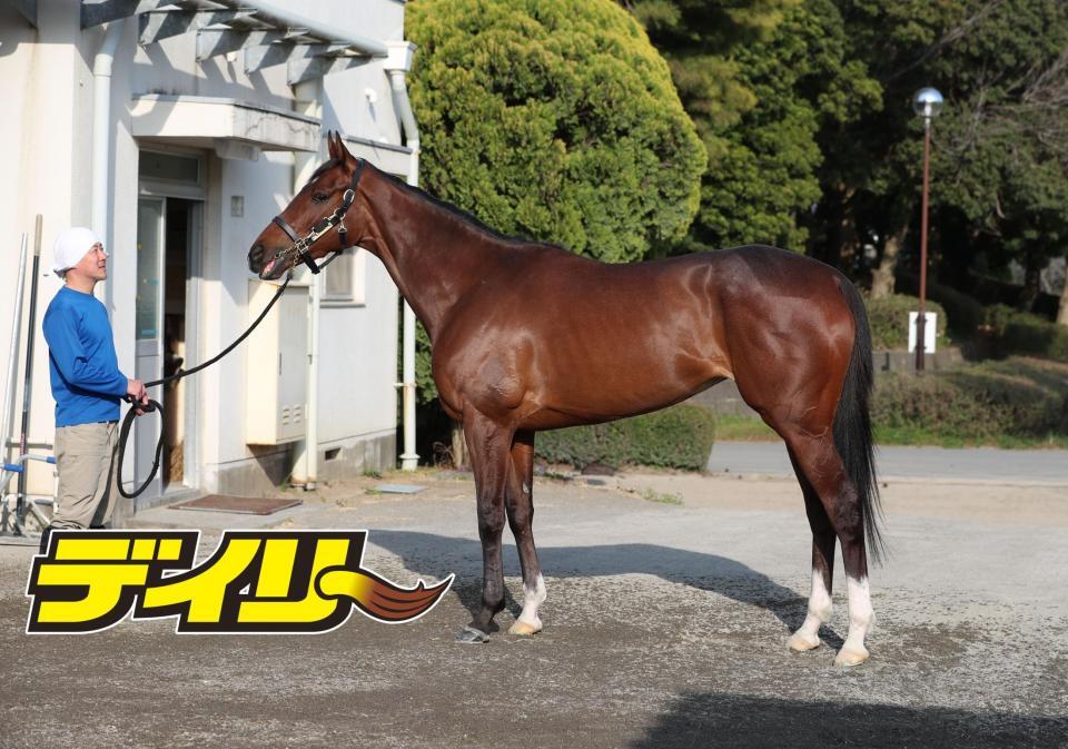 ステレンボッシュ　評価Ａ