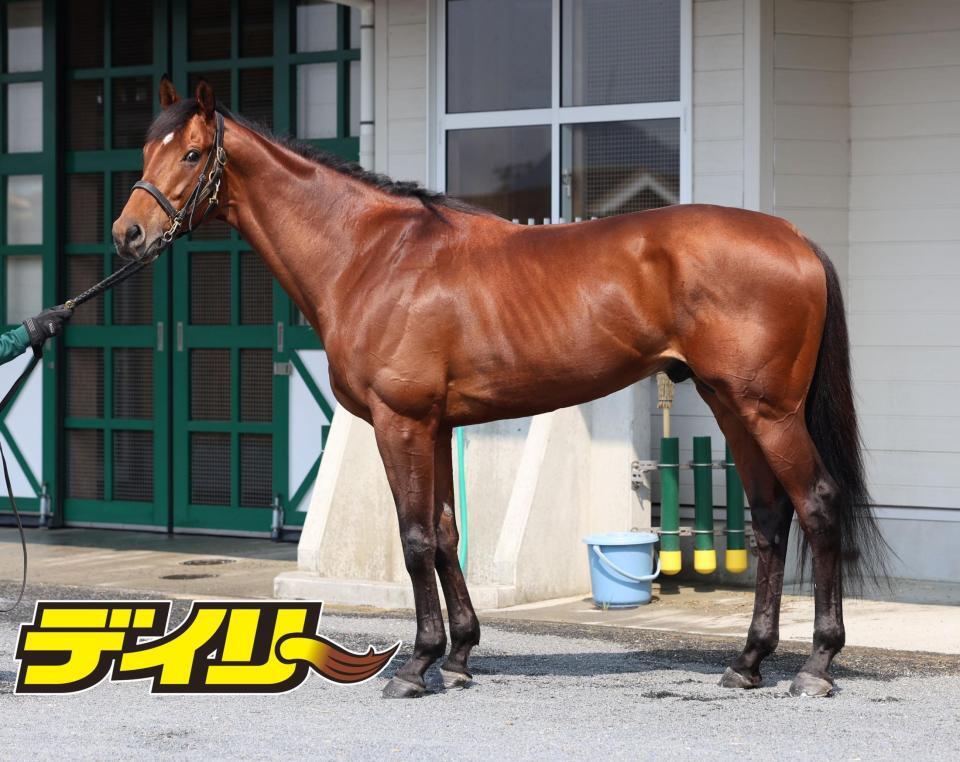 ベラジオオペラ　評価Ａ