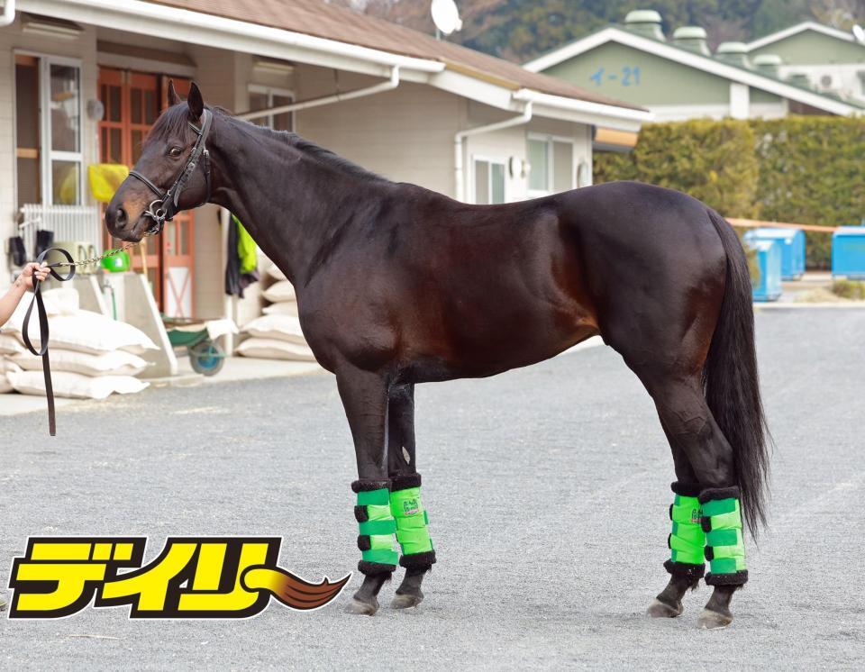 ジャスティンパレス　評価Ｂ