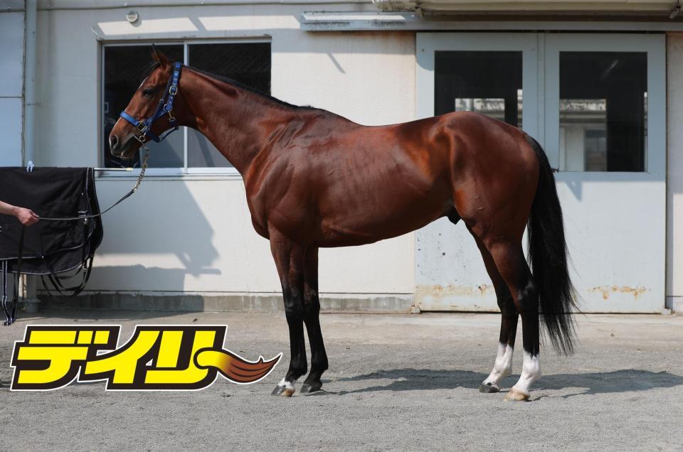 ソールオリエンス　評価Ｂ