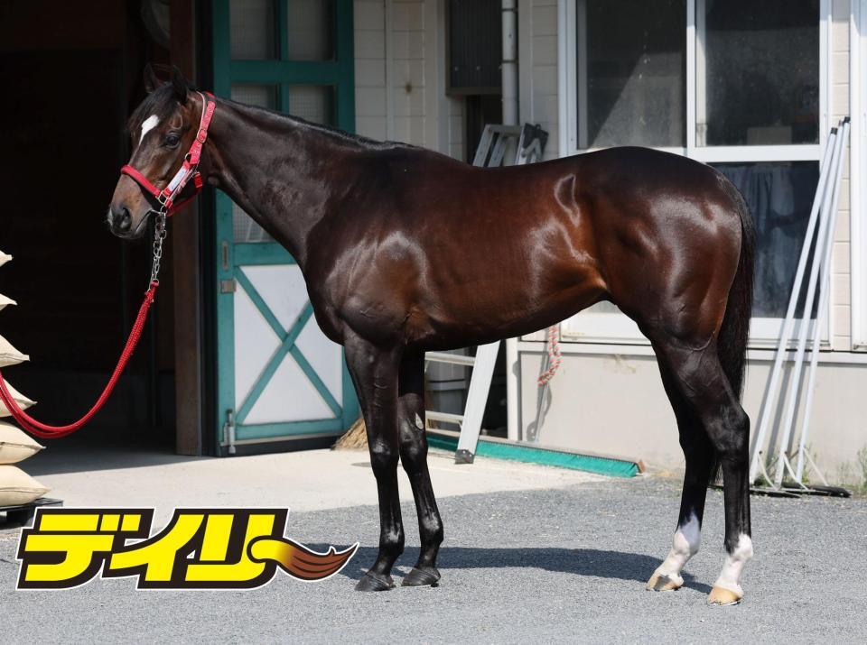 エコロヴァルツ　評価Ｂ