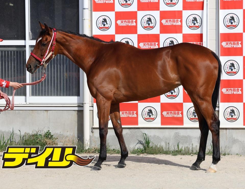 ラヴェル　評価Ｂ