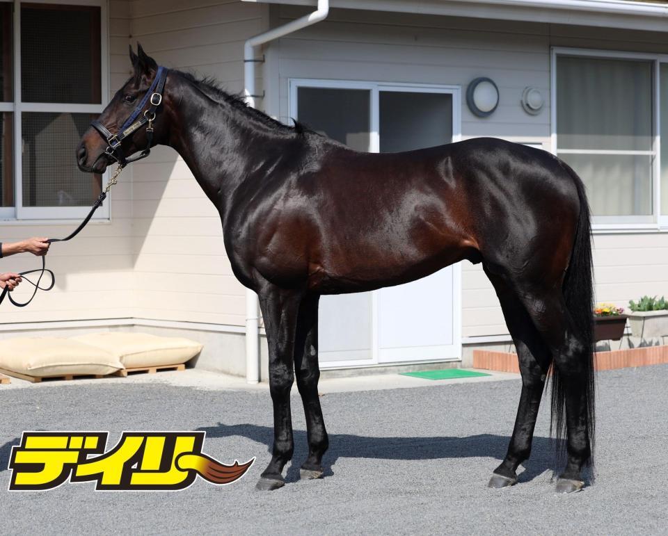 カラテ　評価Ｂ