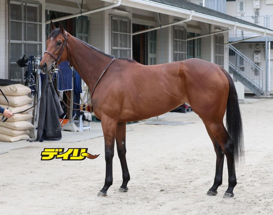 エンブロイダリー　評価Ｂ