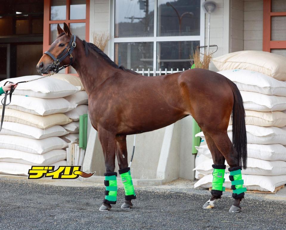 トワイライトシティ　評価Ｂ