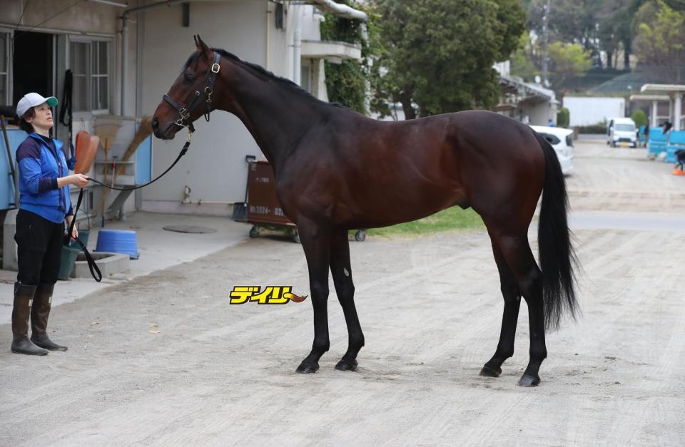 カラマティアノス　評価Ｃ