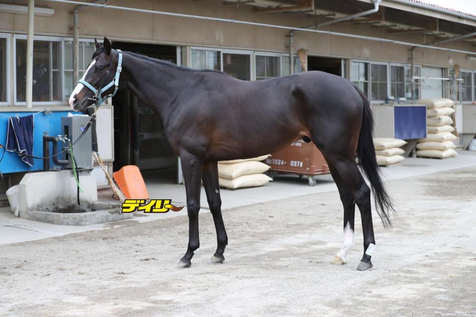 マスカレードボール　評価Ｃ