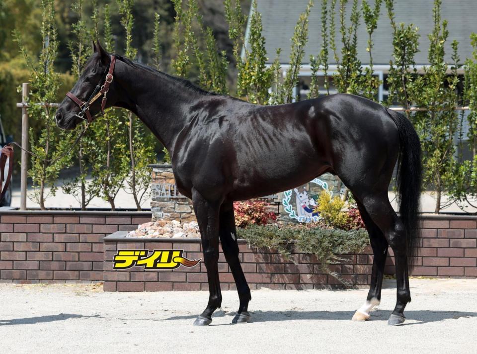 クロワデュノール　評価Ｂ